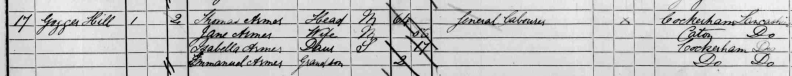 Thomas 1826 in 1891 census