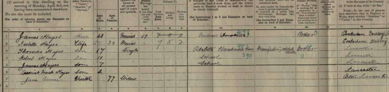 Thomas 1826 widow Jane in 1911 Census